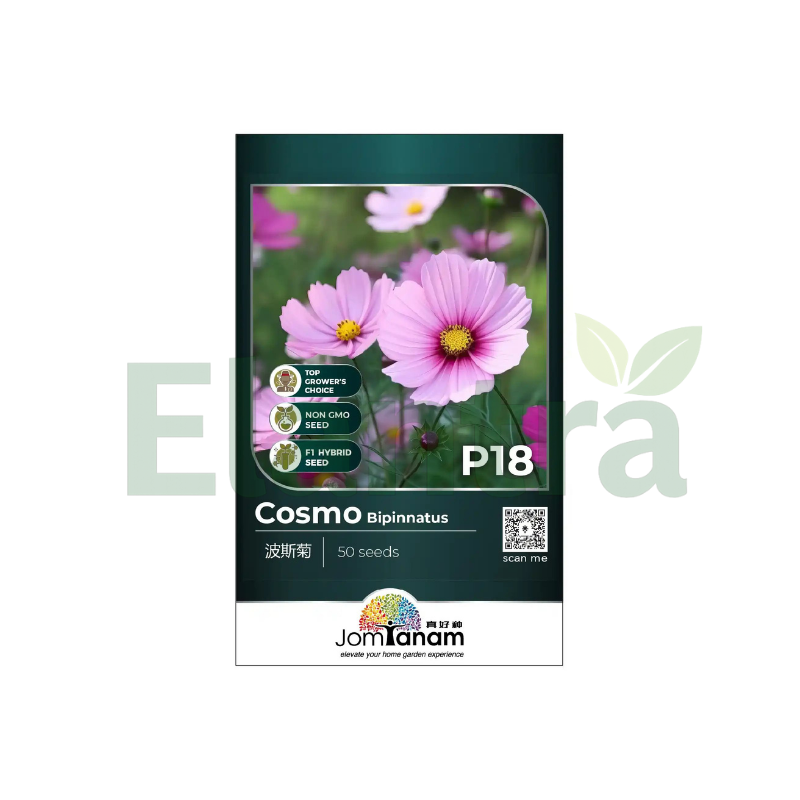 P18 COSMO BIPINNATUS